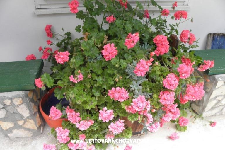 Appartementen Šime Pelješac – foto 14