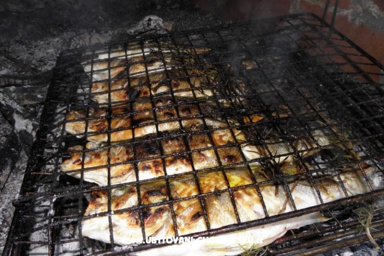 Appartementen Šime Pelješac – foto 16