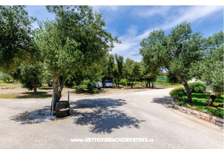 Appartementen Glavor – foto 13