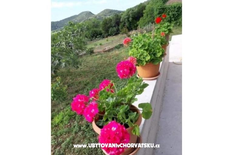 Gardenia Huis – foto 11