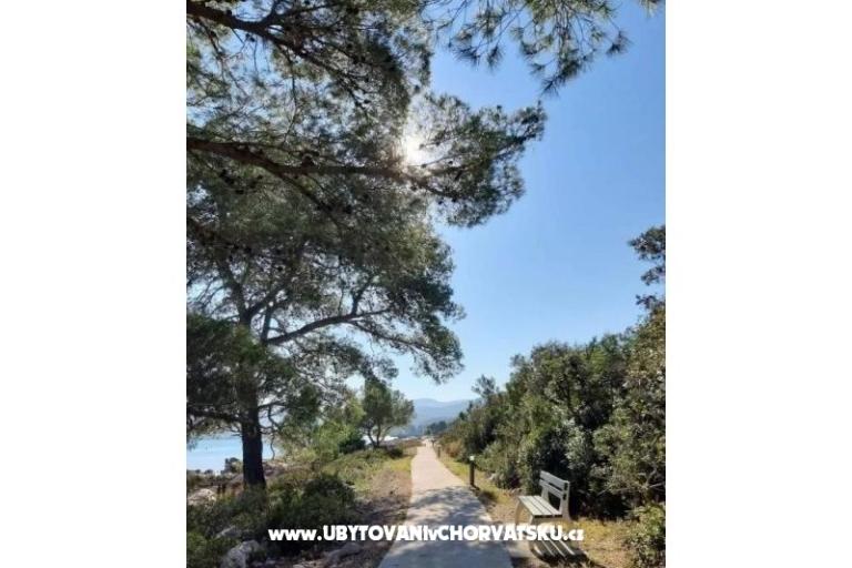 Gardenia Huis – foto 13