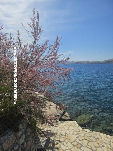 Villa Amfora with Pool - Karlobag – foto 13