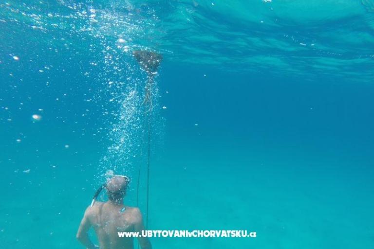 Appartementen Villa Luce – foto 17