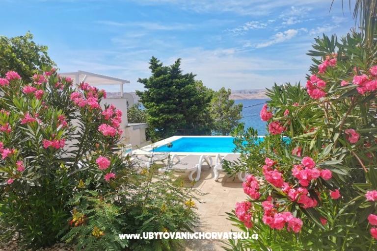 Appartementen Anita with Pool – foto 7