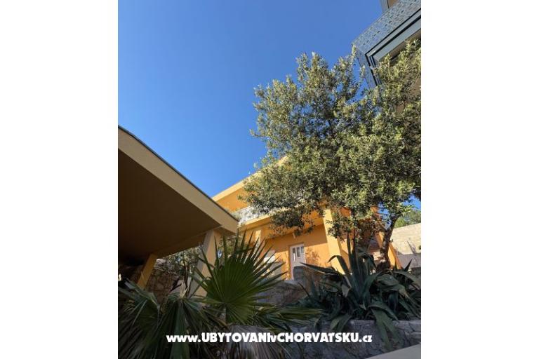 Beachfront Appartementen A+M – foto 8