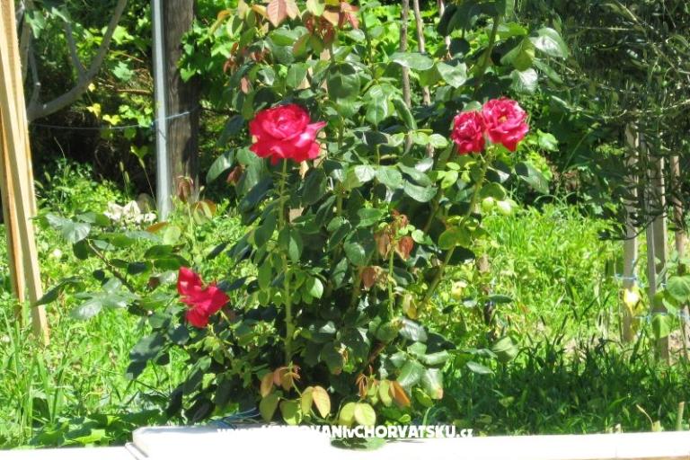 Appartementen Božana – foto 6