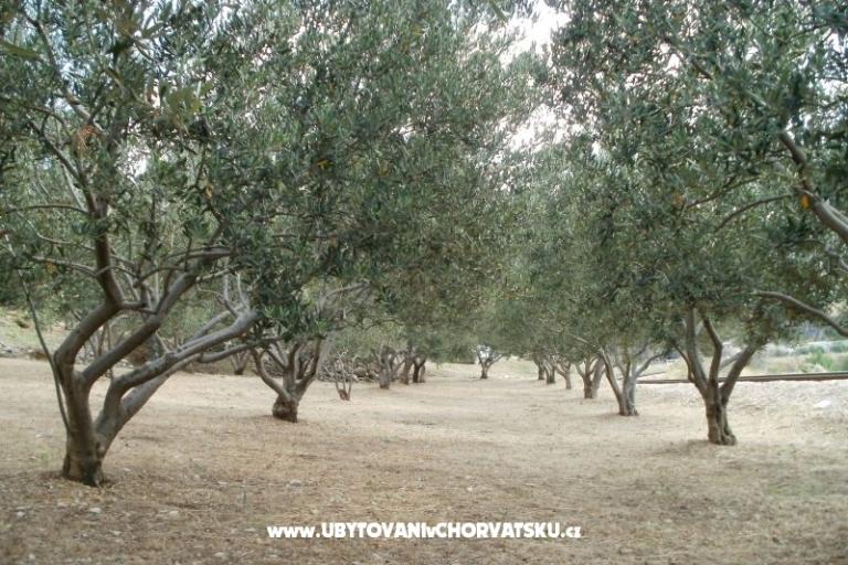 Appartementen Grgin – foto 11