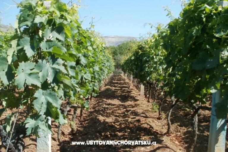 Appartementen Grgin – foto 13