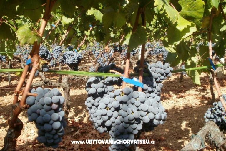 Appartementen Grgin – foto 14