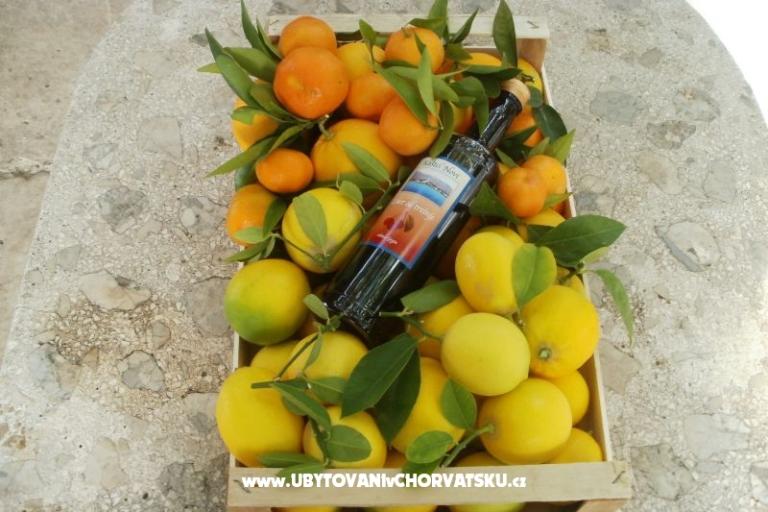 Appartementen Grgin – foto 16