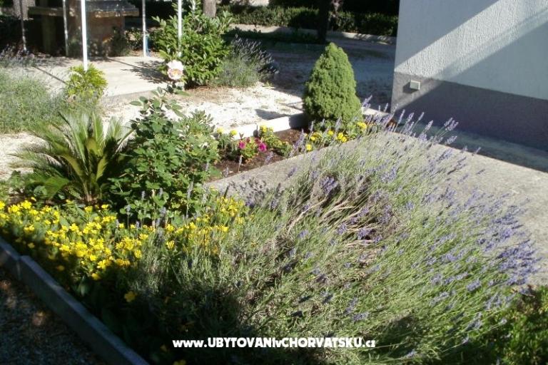 Appartementen Grgin – foto 5