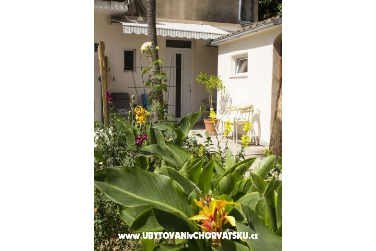 Appartementen Bugenvilla – foto 11
