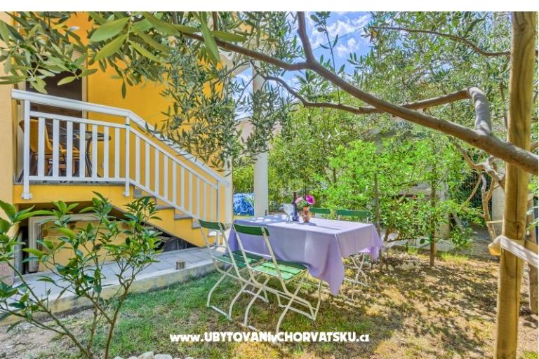 Banovski dvori – foto 3