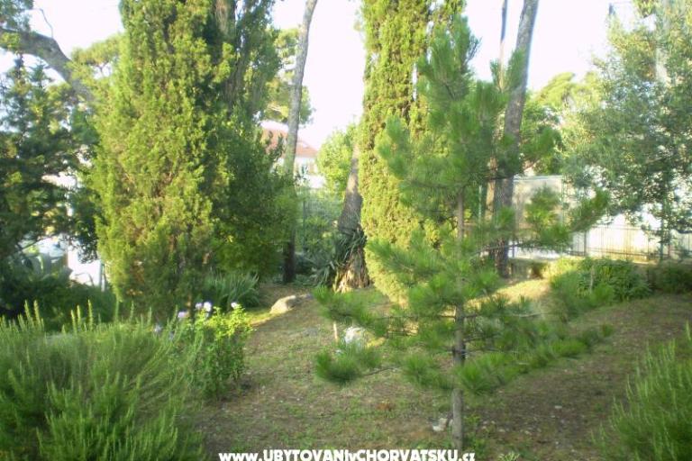 Appartementen Grgin – foto 11
