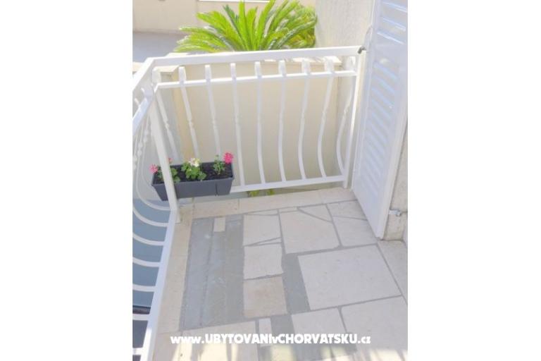 Zvijezda mora – foto 10