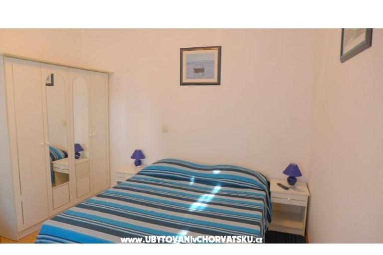 Zvijezda mora – foto 6