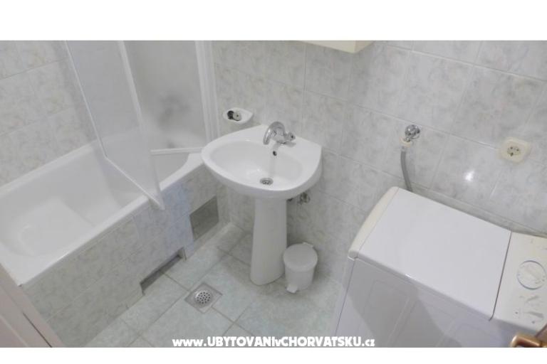 Zvijezda mora – foto 7