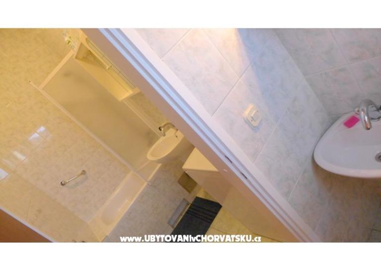 Zvijezda mora – foto 8