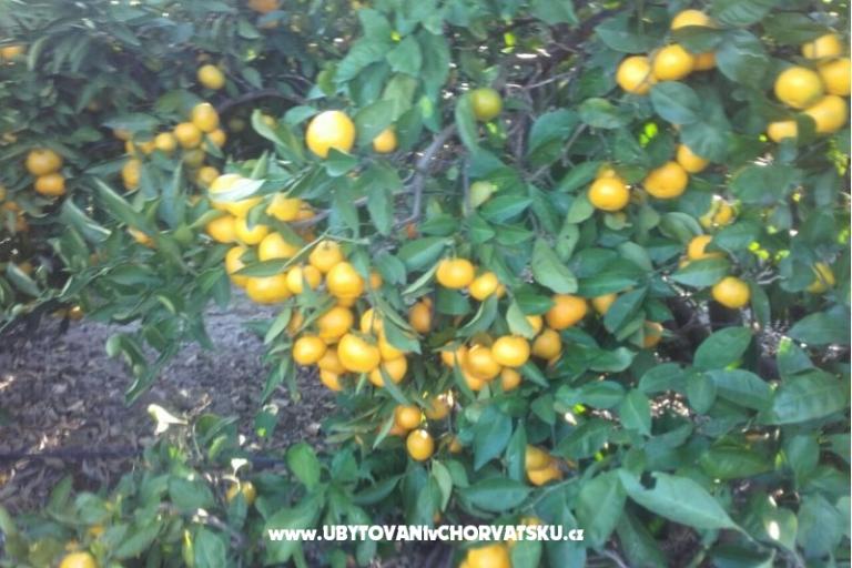 Appartementen Alfijo – foto 10