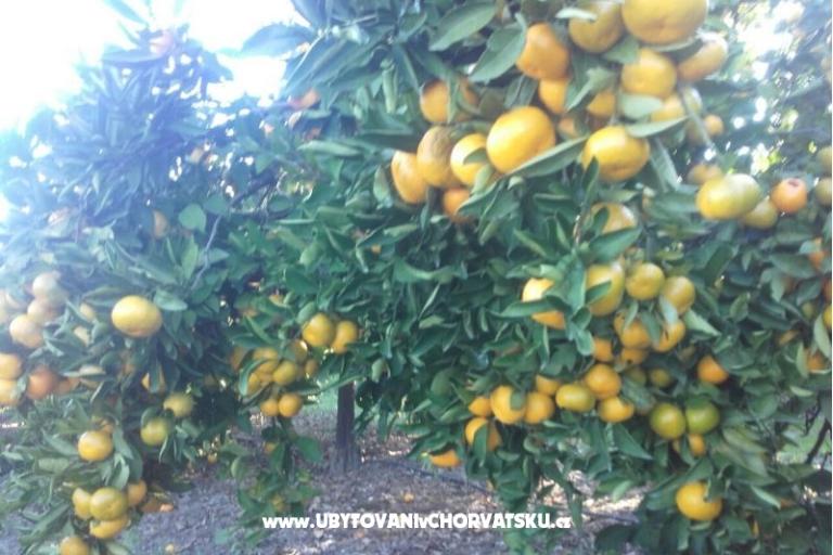 Appartementen Alfijo – foto 11