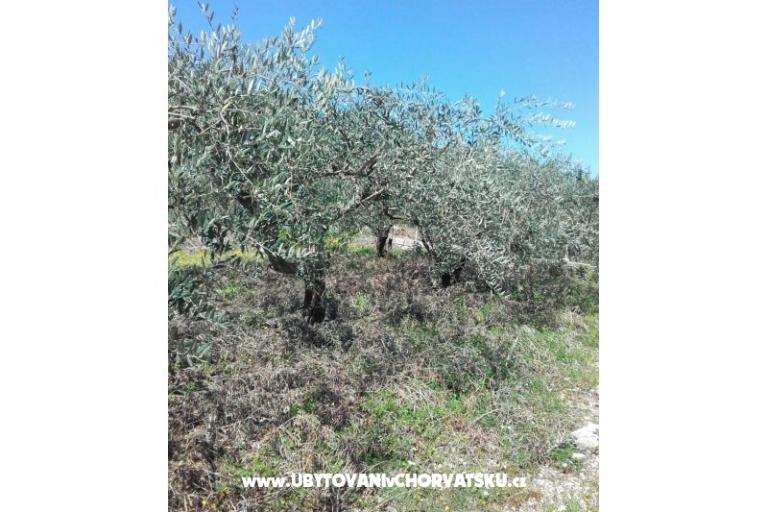 Appartementen Alfijo – foto 13