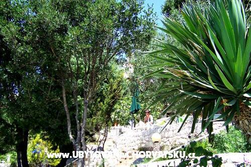 Appartementen Mediterraneo – foto 13