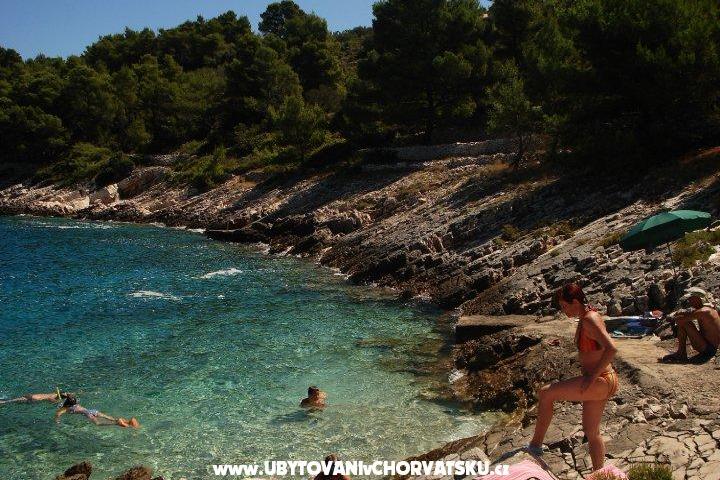 Appartement Kaurloto – foto 6