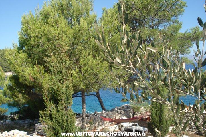 Appartement Kaurloto – foto 8