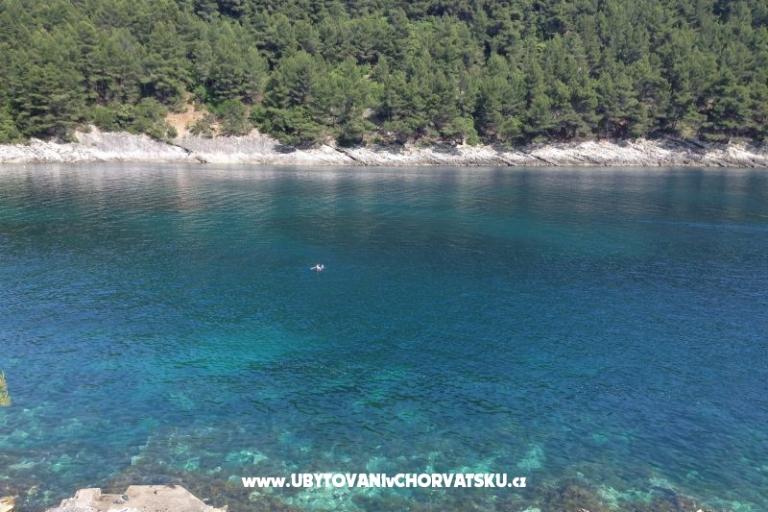 Appartementen Šain – foto 12