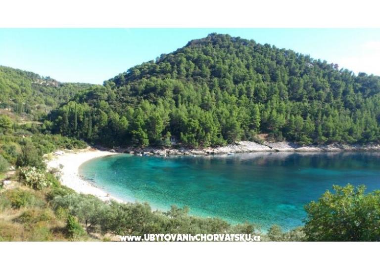 Appartementen Šain – foto 15