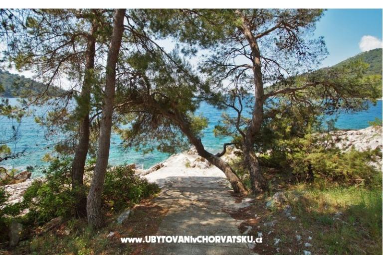 Appartementen Marica P. – foto 6