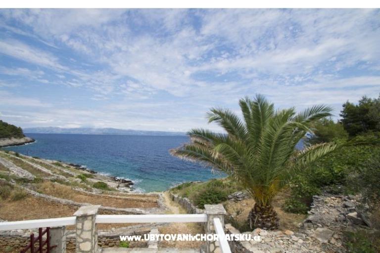 Vakantiehuis Dorjan – foto 4