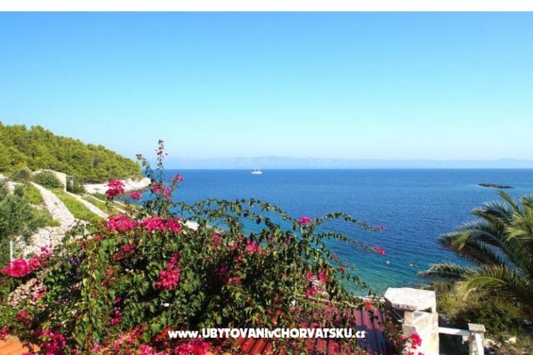 Vakantiehuis Dorjan – foto 5