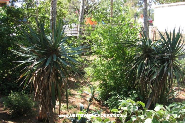 Appartement Borici – foto 17