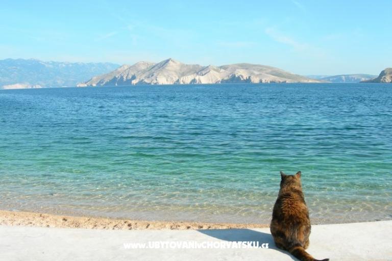 Appartement Linda – foto 18