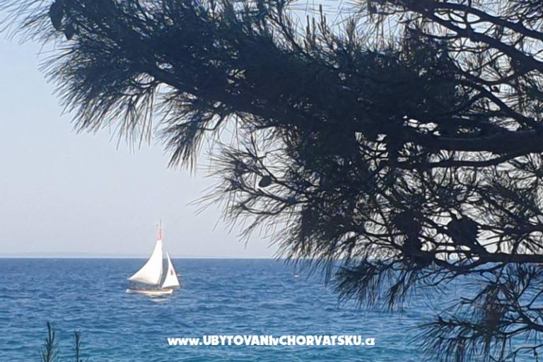 Appartementen Blažević – foto 19