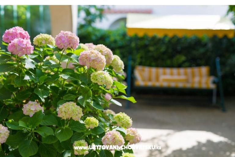 Appartementen Blažević – foto 8