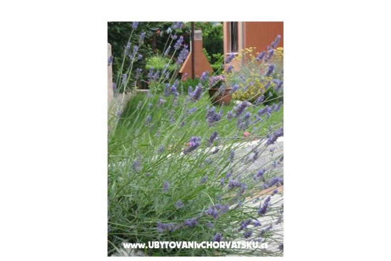 Appartementen Iva&amp;Ivan – foto 4
