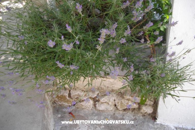 Appartementen Kinkela – foto 12