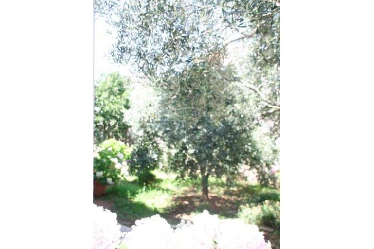 Appartementen Krk-Hydrangea – foto 10