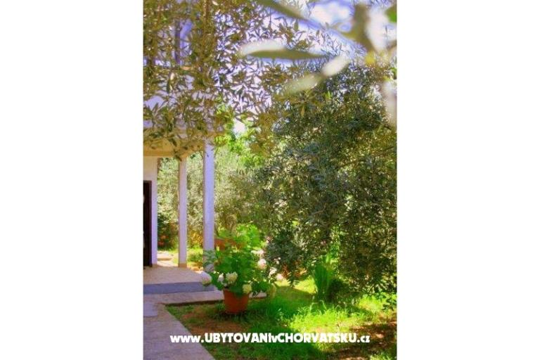 Appartementen Krk-Hydrangea – foto 14