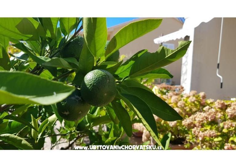 Appartementen Krk-Hydrangea – foto 6