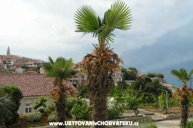 Appartementen Maja – foto 6