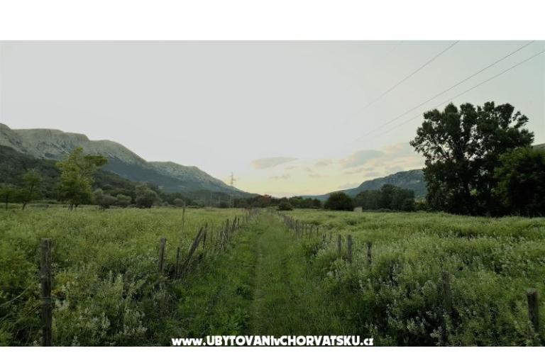 Appartement Petra  – foto 12