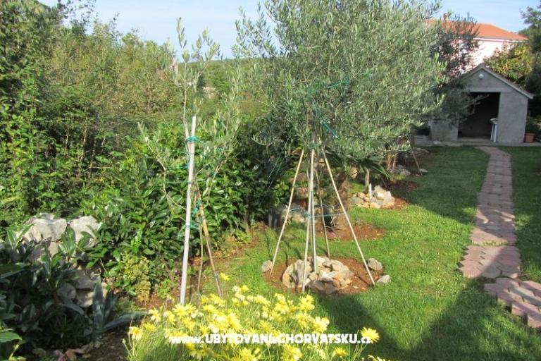 Appartementen Perišić – foto 14