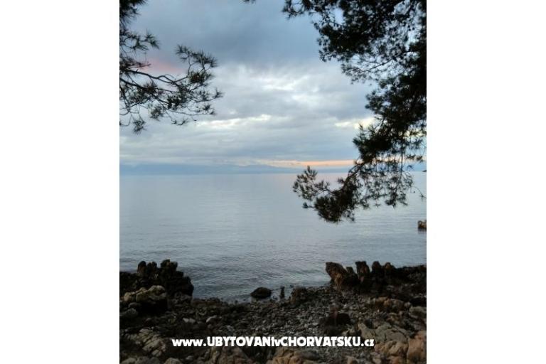 Appartementen Topol – foto 15