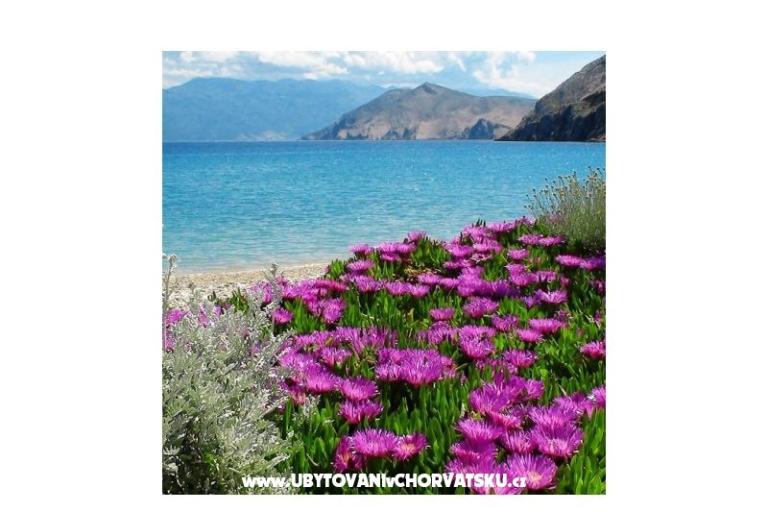 Appartementen Capic – foto 3