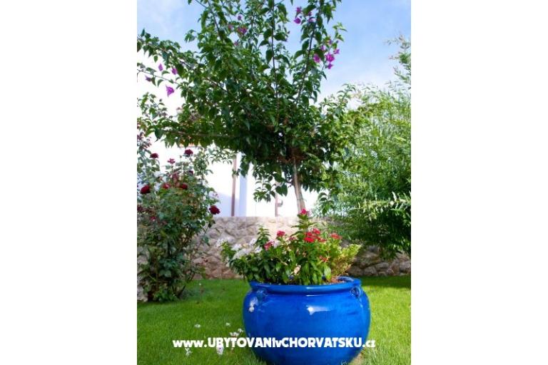 Lucia Appartementen – foto 7