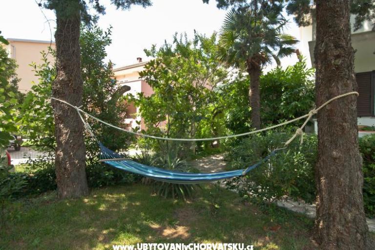 Sea Dream – foto 3