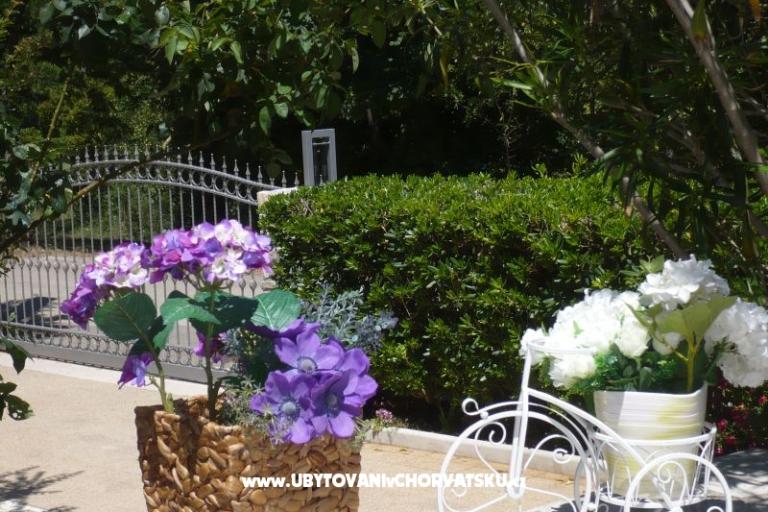 Appartementen Zana – foto 13